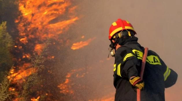 Φωτιά σε δύσβατο σημείο στον Κιθαιρώνα -Ισχυρές δυνάμεις στην περιοχή